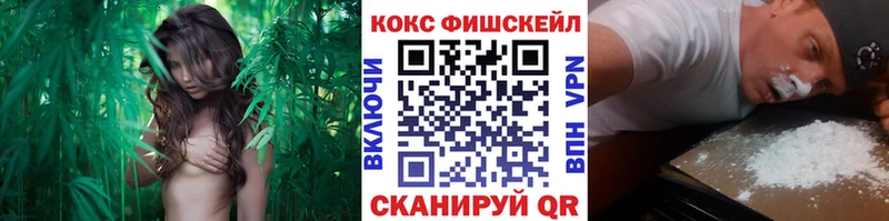 ОМГ ОМГ сайт Плёс Кокаин FishScale