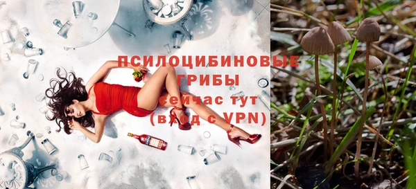 прущий лед Вязники