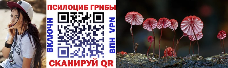 где можно купить   Плёс  Галлюциногенные грибы мицелий 